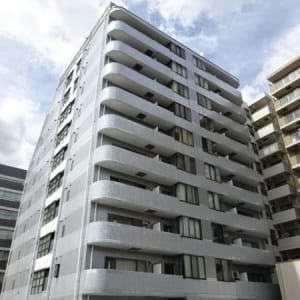 10階建て9階部分　3路線利用可能　新規内装リフォーム　住宅ローン減税適合物件(外観)