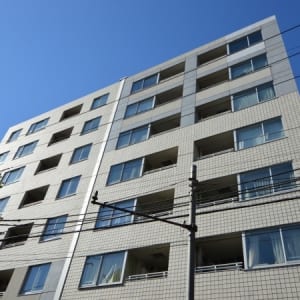 8階建て4階部分の南東向き住戸　大切なペットと一緒に暮らせます　新規内装リノベーション　安心のアフターサービス保証付き　住宅ローン減税適合物件(外観)