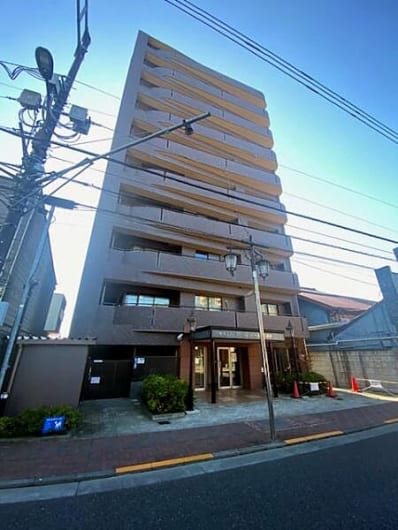 南東向き5階住戸　大切なペットと一緒に暮らせます　最寄り駅徒歩3分の好立地　新規内装リノベーション　住宅ローン減税適合物件(外観)