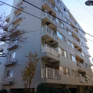 7階建て6階西向き住戸　最寄駅徒歩1分の好立地　オートロック完備　新規内装リノベーション　安心のアフターサービス保証付き(外観)