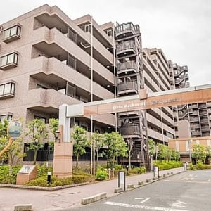 8階部分の南東向き住戸につき陽当り良好　最寄り駅徒歩10分圏内　新規内装リフォーム　住宅ローン減税適合物件(外観)