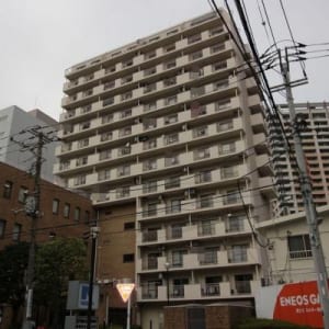 13階部分の南西・南東角部屋住戸のため眺望・通風良好　2面バルコニーで通風良好　新規内装リノベーション　安心のアフターサービス保証付き　住宅ローン減税適合物件(外観)