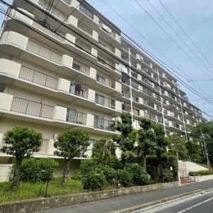 9階建て最上階の東向き住戸　大切なペットと一緒に暮らせます　新規内装リフォーム　住宅ローン減税適合物件(外観)