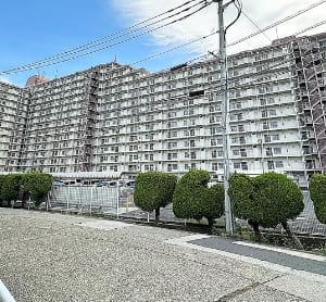 14階建て11階東向き住戸につき陽当り・眺望良好　大切なペットと一緒に暮らせます　新規内装リフォーム　安心のアフターサービス保証付き　住宅ローン減税適合物件(外観)