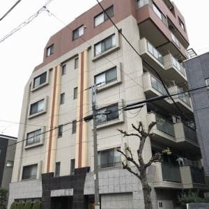 南向き5階住戸　2路線利用可能　新規内装リフォーム済み　住宅ローン減税適合物件(外観)