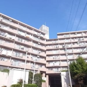 南西角部屋につき陽当り・通風良好　大切なペットと一緒に暮らせます　最寄り駅徒歩10分圏内　新規内装リノベーション　安心のアフターサービス保証付き　住宅ローン減税適合物件(外観)