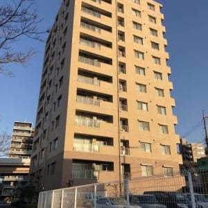 9階南西角住戸につき陽当り・眺望・通風良好　大切なペットと一緒に暮らせます　最寄り駅徒歩10分圏内　新規内装リフォーム　住宅ローン減税適合物件(外観)