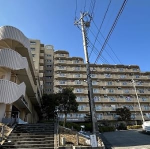 大切なペットと一緒に暮らせます　4階部分の南西向き住戸のため陽当り・通風良好　新規内装リフォーム済み　安心のアフターサービス保証付き　住宅ローン減税適合物件(外観)