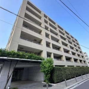 8階建て6階南西向き住戸　最寄り駅徒歩10分圏内　新規内装リノベーション　大切なペットと一緒に暮らせます　住宅ローン減税適合物件(外観)