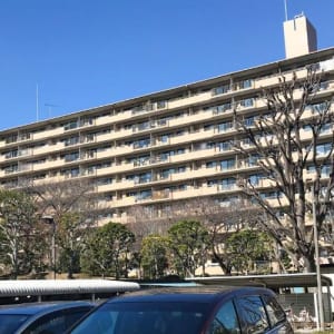 東南・南西角部屋6階住戸　2面バルコニー　大切なペットと一緒に暮らせます　新規内装リフォーム　安心のアフターサービス保証付き　住宅ローン減税適合物件(外観)