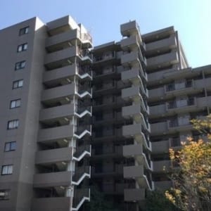 11階建て9階角住戸につき眺望・陽当り良好　大切なペットと一緒に暮らせます　ルーフバルコニー付き　新規内装リフォーム　住宅ローン減税適合物件(外観)