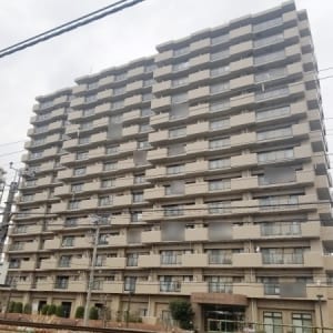 14階建て11階南向き住戸　最寄り駅徒歩10分圏内　大切なペットと一緒に暮らせます　新規内装リノベーション済み　住宅ローン減税適合物件(外観)