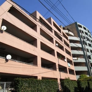 南・東・北3方角部屋住戸のため陽当り・通風良好　大切なペットと一緒に暮らせます　新規内装リノベーション　住宅ローン減税適合物件(外観)