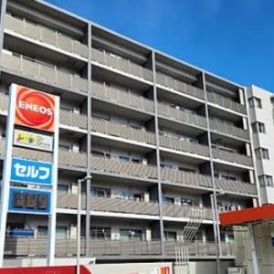 南西向き6階部分住戸のため陽当り・通風・眺望良好　大切なペットと一緒に暮らせます　新規内装リノベーション　住宅ローン減税適合物件(外観)