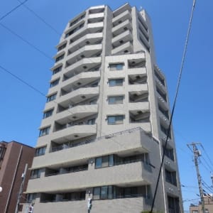 12階建て5階南東向き住戸　宅配ボックス・オートロックカビ　新規内装リノベーション　安心のアフターサービス保証付　住宅ローン減税適合物件(外観)