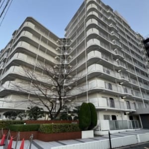 11階建て6階部分の南東向き住戸　新規内装リフォーム　安心のアフターサービス保証付き　住宅ローン減税適合物件(外観)