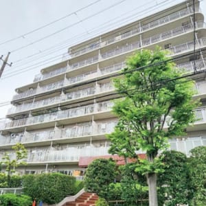 南向き1階住戸　大切なペットと一緒に暮らせます　新規内装リノベーション(外観)