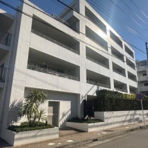 5階建て4階部分の南向き住戸　大切なペットと一緒に暮らせます　オートロック完備　新規内装リノベーション　住宅ローン減税適合物件　安心のアフターサービス保証付(外観)
