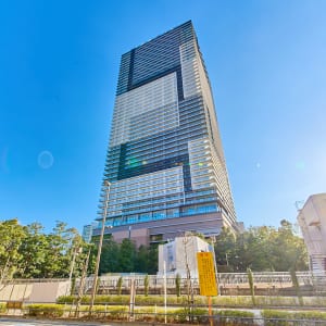 34階部分の南西向き住戸　最寄り駅徒歩4分の好立地　大切なペットと一緒に暮らせます　新規内装リフォーム　住宅ローン減税適合物件(外観)