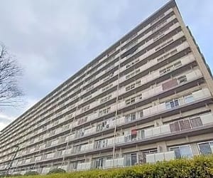 10階部分の南向き住戸のため陽当り・眺望良好　大切なペットと一緒に暮らせます　新規内装リノベーション(外観)