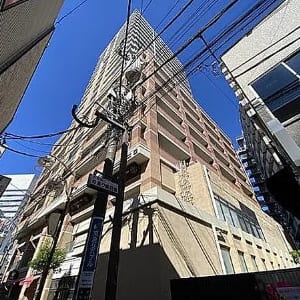19階部分の南東向き角住戸のため眺望・陽当り・採光・通風良好　大切なペットと一緒に暮らせます　新規内装リフォーム済み　住宅ローン減税適合物件(外観)