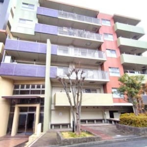 東向き3階住戸　大切なペットと一緒に暮らせます　宅配ボックス・オートロック完備　新規内装リフォーム済み　安心のアフターサービス保証付き　住宅ローン減税適合物件(外観)