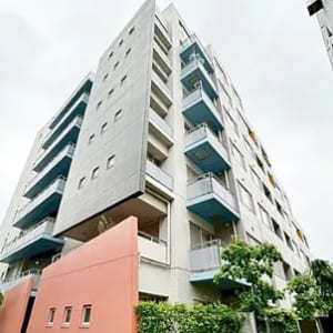 新規内装リノベーション物件です(外観)