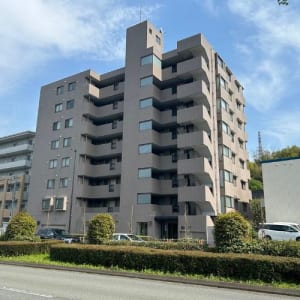 新規内装リノベーション物件です(外観)