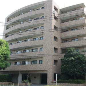 新規内装リノベーション物件です(外観)