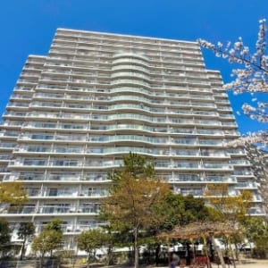 パークフィールドみさと三街区2号館ドミナンス 三郷市さつき平１丁目 仲介手数料0円(無料）